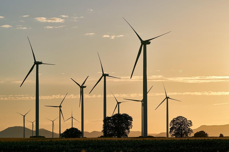 Sustainable Designer